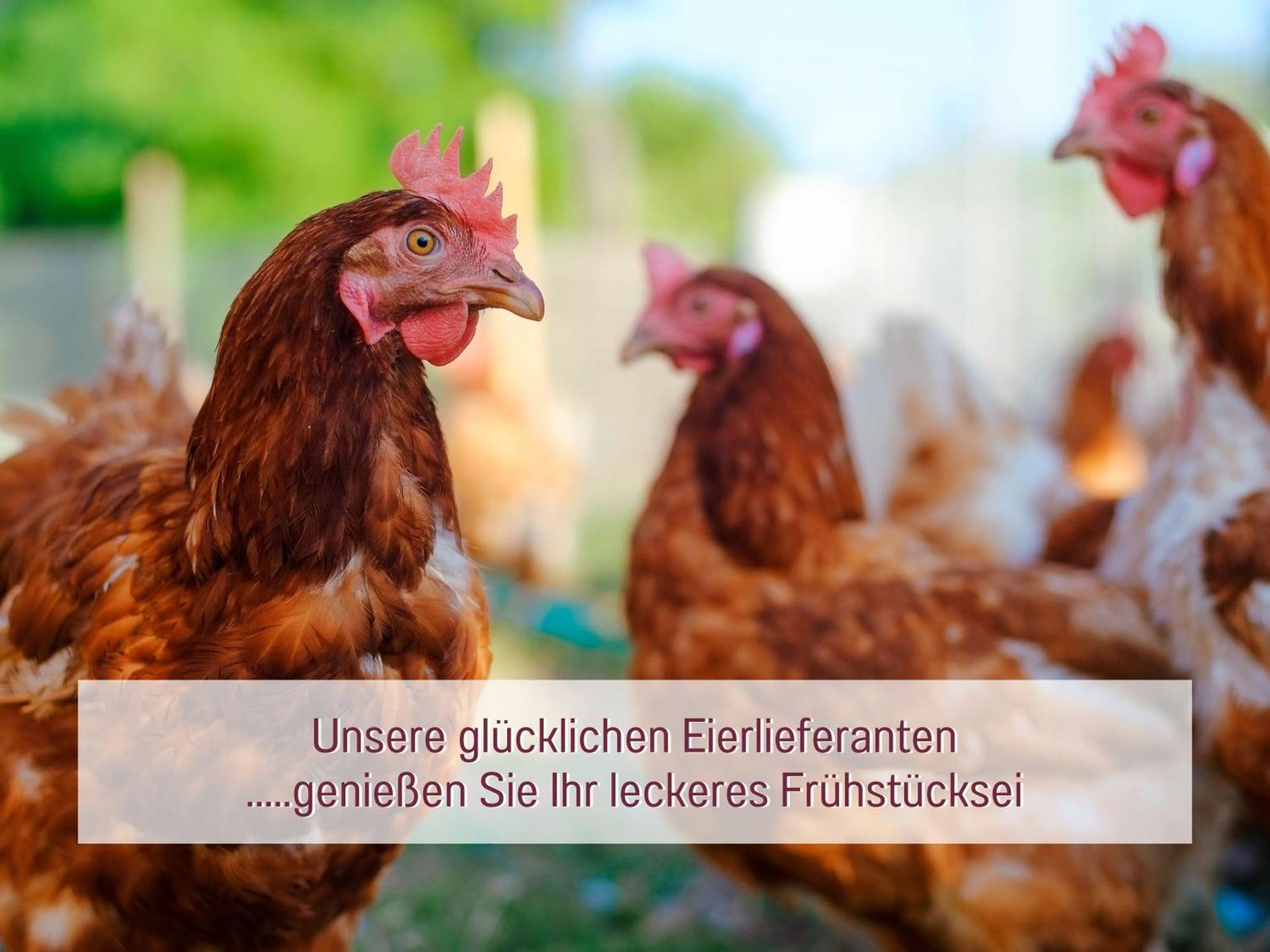 Designerwohnungen "Beim Schmied" In Chiemseenaehe Traunreut Dış mekan fotoğraf